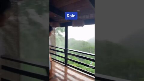 RAIN IN THE RAINFOREST (not clickbait) #shorts