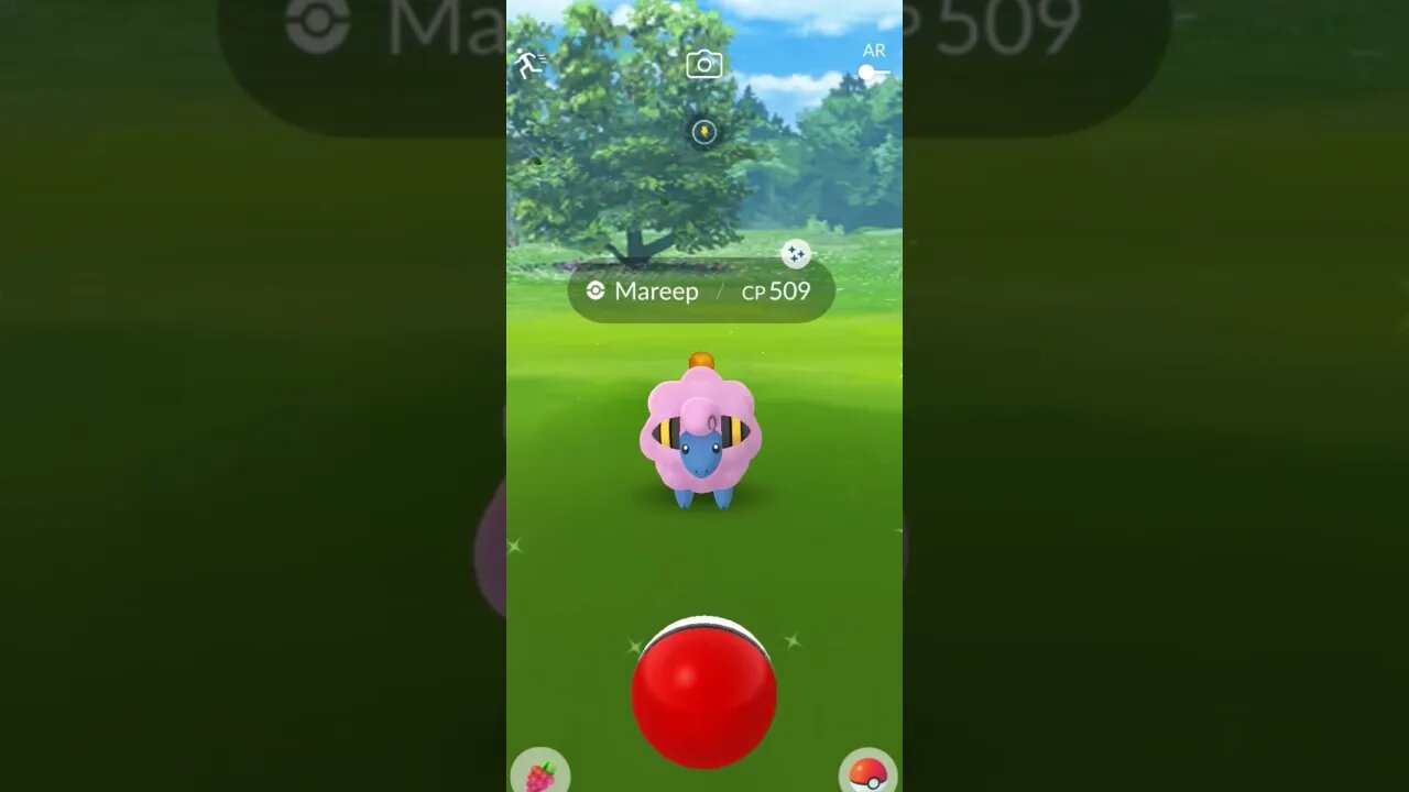 Shiny Compilation