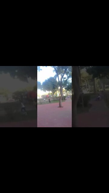 no parque barueri 2 #shorts #mãenatureza