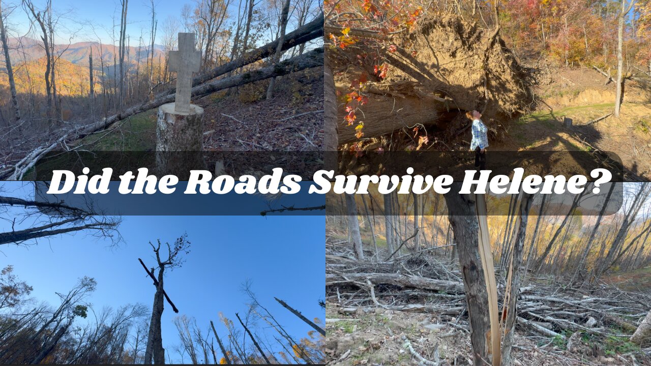 Did Our Logging Roads Survive Hurricane Helene?