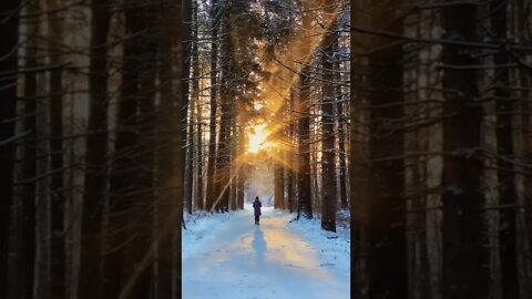 Alvorecer de mais um dia