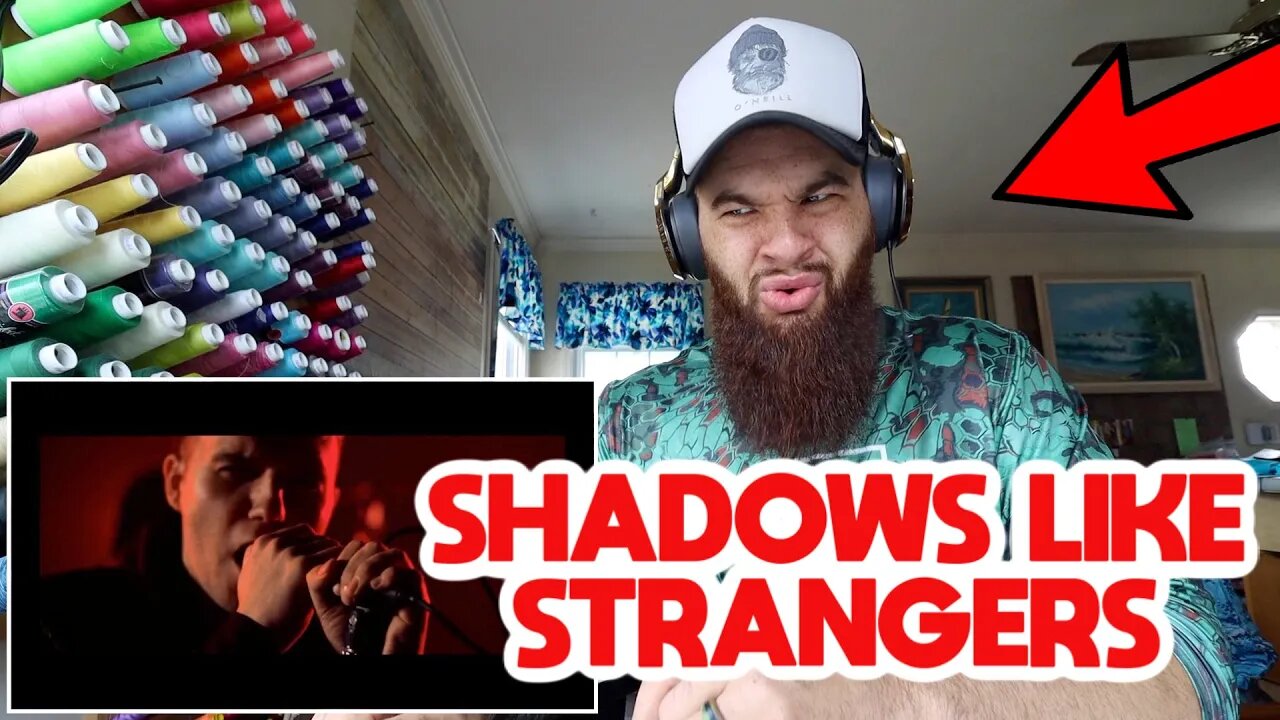 "Leave Me In The Shadow" by Shadows Like Strangers {REACTION}