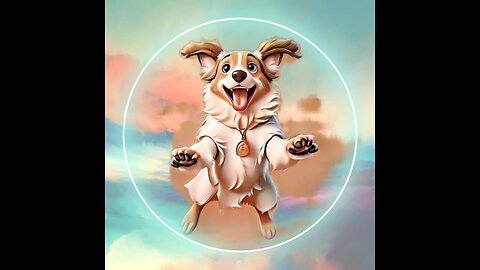 Funny Dog Training