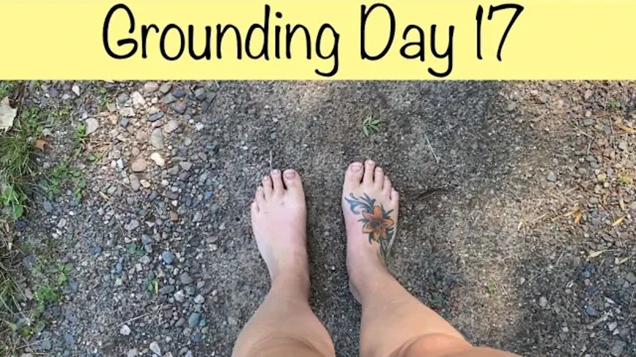 Grounding Day 17 - cruising now