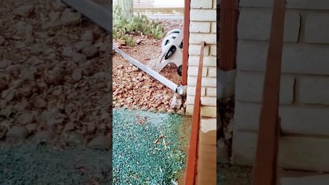 Let's improve 💪 that drainage so you can relax 🏜 and not worry 😳 about foundation settlement.