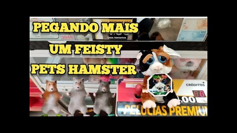 PEGANDO MAIS UM FEISTY PETS HAMSTER, ERA O QUE TINHA 👏👏👏