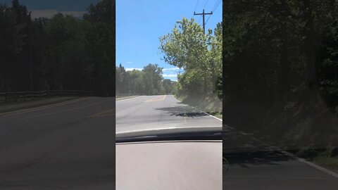 Driving Vienna, Washington DC