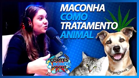MACONHA COMO TRATAMENTO PRA ANIMAIS