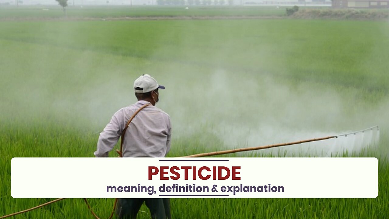 What is PESTICIDE?