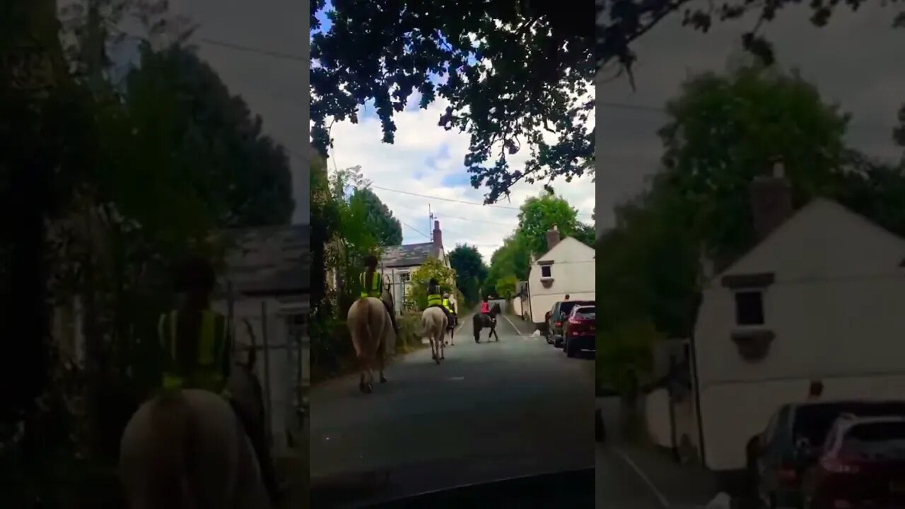 horse riding group #shorts #england