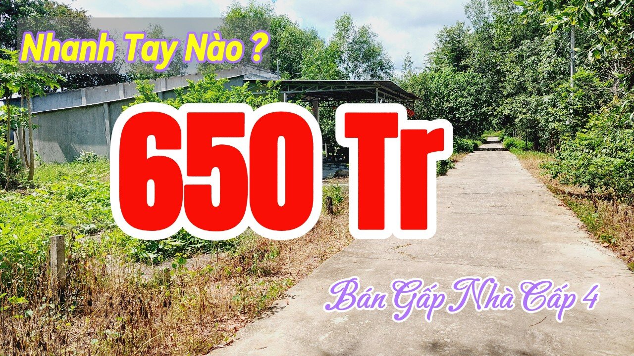 Đất Dầu Tiếng |Mê bóng đá EURO 2024 bán gấp căn nhà 6 x 30 ( Tc 100) Giá rẽ#566