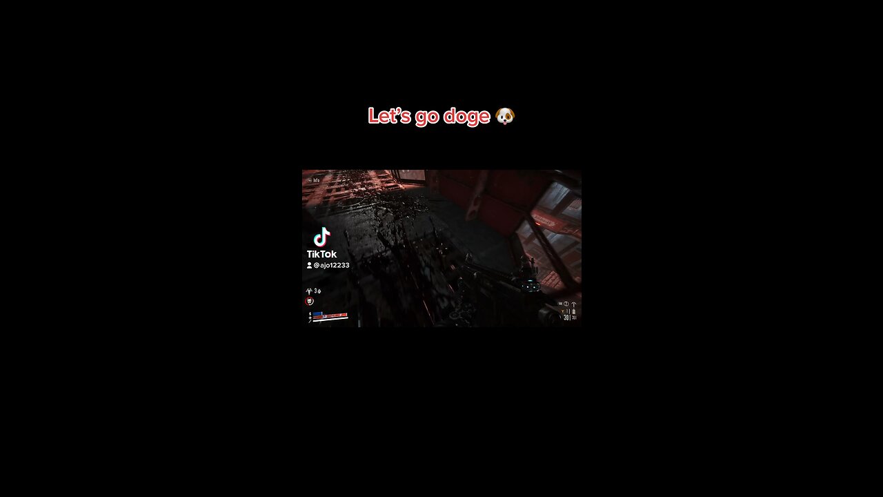 Let’s go doge 🐶