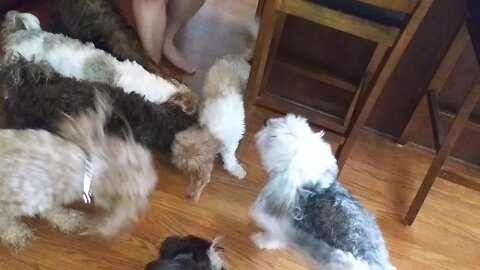 Treat Time w/Alex