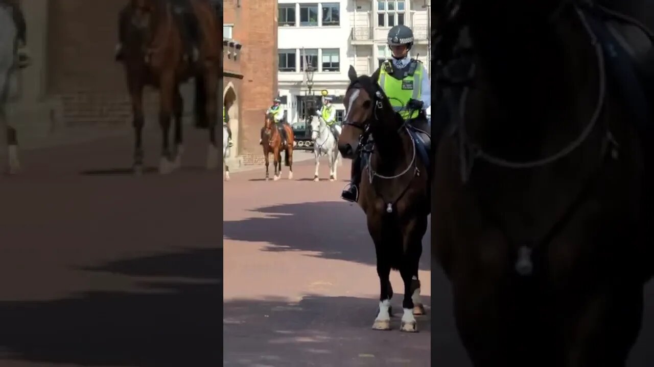 The Queen's Guards and police escort leave St James's Palace #stjamespalace