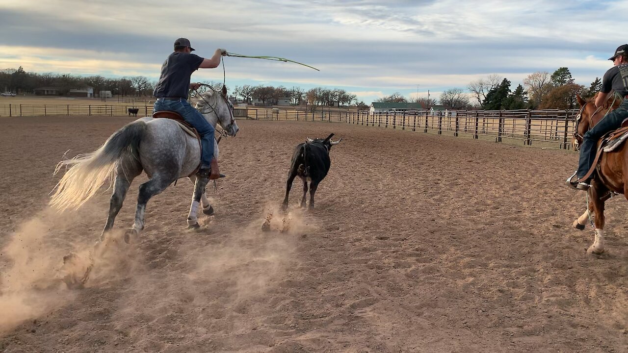 Rehabbing Smokey