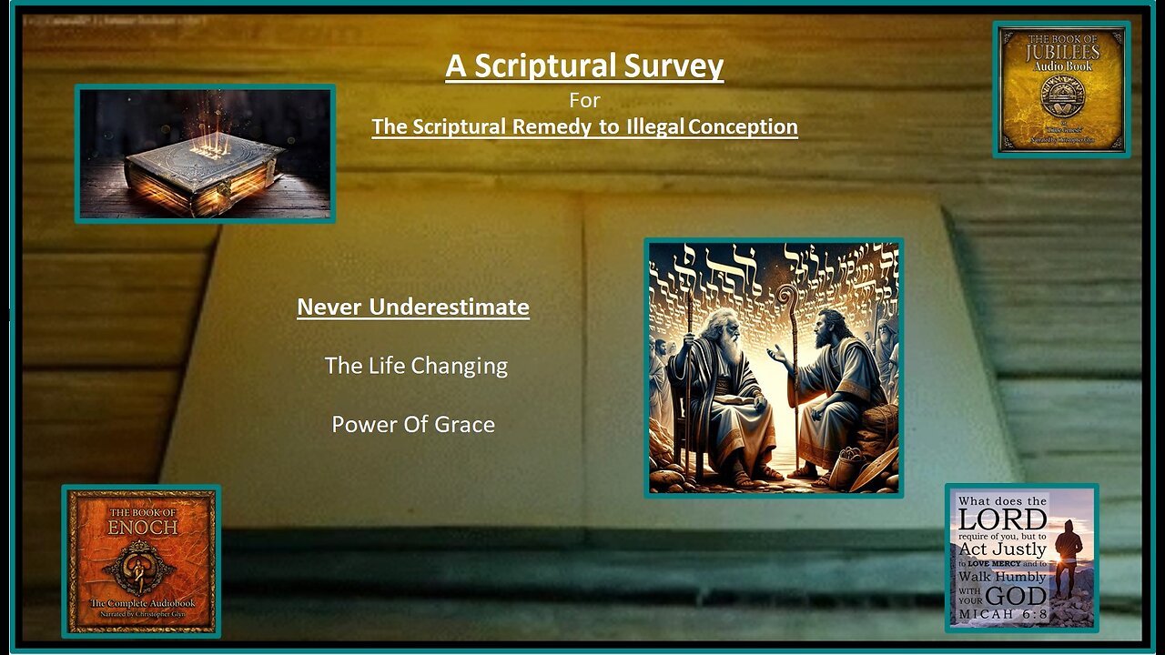 The Scriptural Remedy - A Brief Survey of the Scriptures