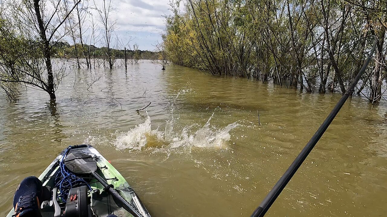 That fish was crazy strong!