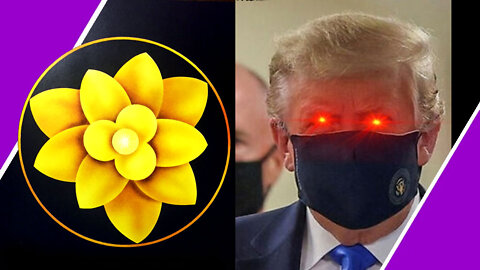 Lotus Trump #YourComments / Hugo Talks