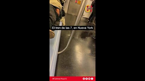 NY es un desastre total - Una persona orina públicamente en el metro