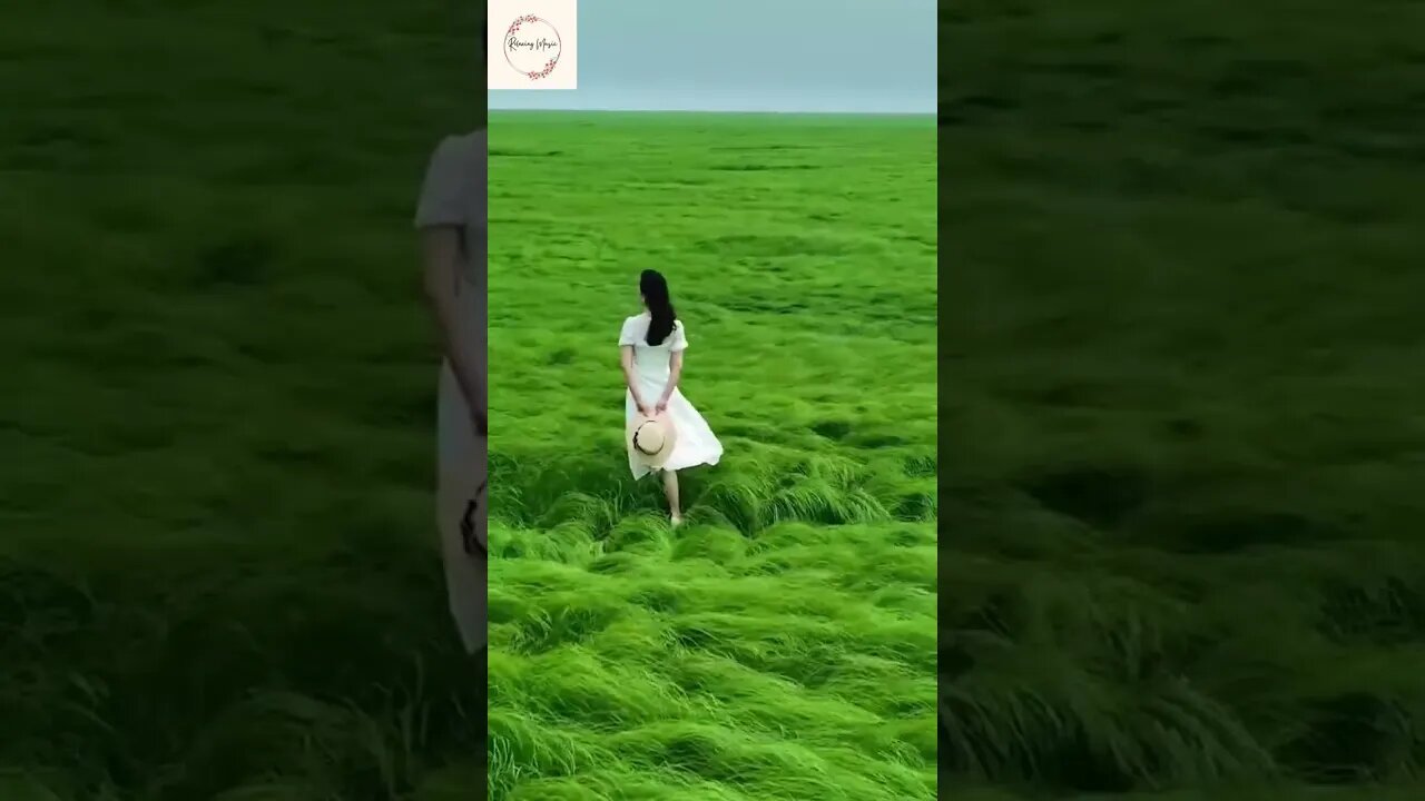 Natural Scene With Beautiful Girl