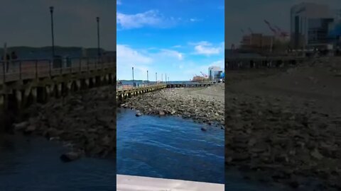 Halifax boardwalk on a beautiful day