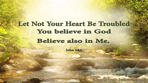 2 Mistakes You Make Regarding Your Sin. John 14:1 Let Not Your Hear Be Troubled