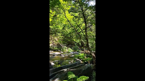 sensational nature walk