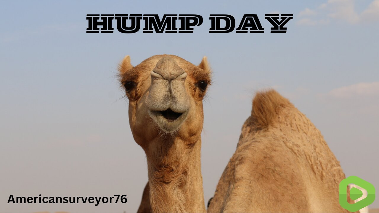Mike, Mike, Mike...what day is it? HUMPDAYYYY