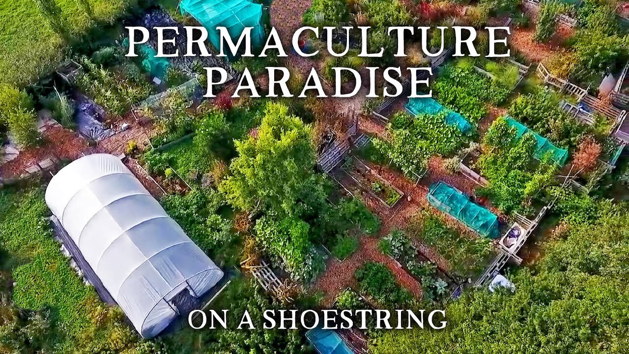 Inspirational Small-Scale Permaculture Homestead | Low Cost Self-Sufficiency on Less Than an Acre