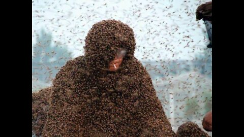 CHINESE MAN COVERS BODY WITH BEES, SETS RECORD