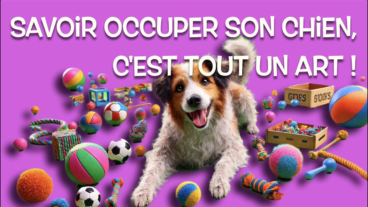 ✨ 10 idées géniales pour occuper ton chien réactif pendant les visites !