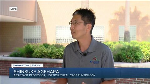 Good Morning Tampa Bay: Deiah interview with Shinsuke Agehara at the Gulf Coast Research and Education Center