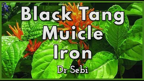 DR SEBI - BLACK TANG IRON CHEMISTRY, MUICLE, SULPHIDE, PHOSPHOROUS, BLUE VERVAIN