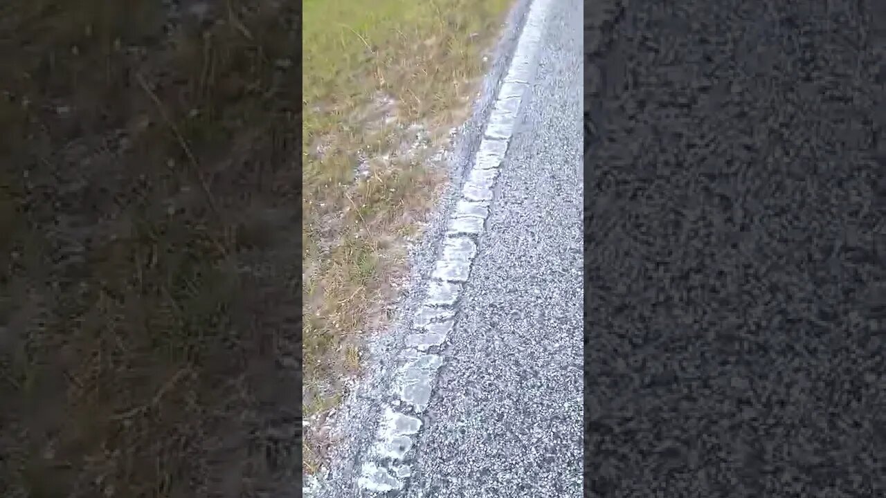 Earlier Greyhound agent was rude