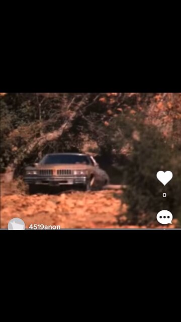 Durham on the hunt! Joke