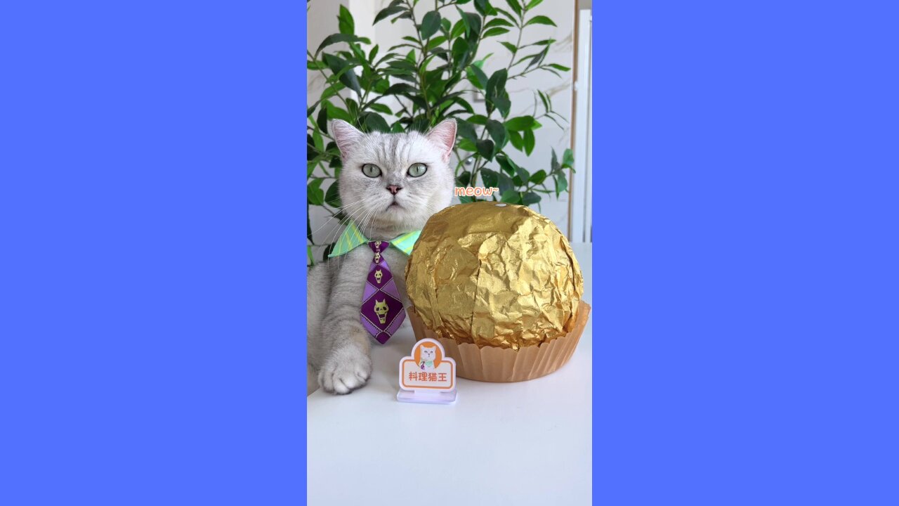 💖 Unbelievably HUGE Ferrero Rocher Bigger Than Your Head! Can't Finish it All! 😮🐱🍽️ #CookingCat