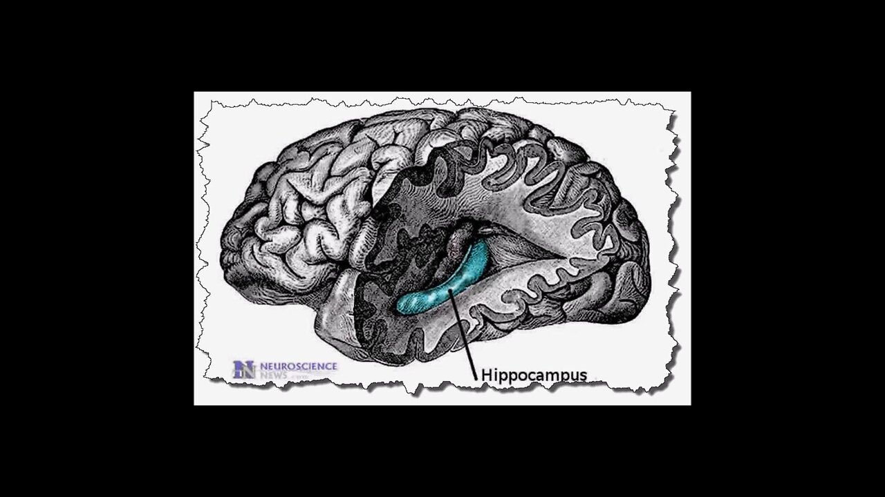 Language Learning Brain Mechanism