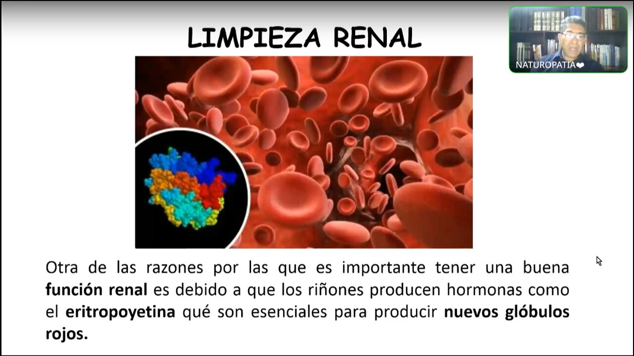 NATUROPATÍA 47 - LIMPIEZA RENAL - NICOLÁS BARRIOS