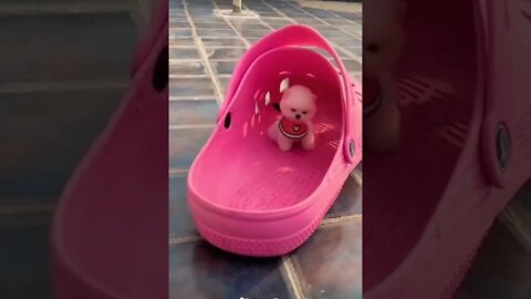 Wow🐶 please make this viral | #shorts | #viral | #cute