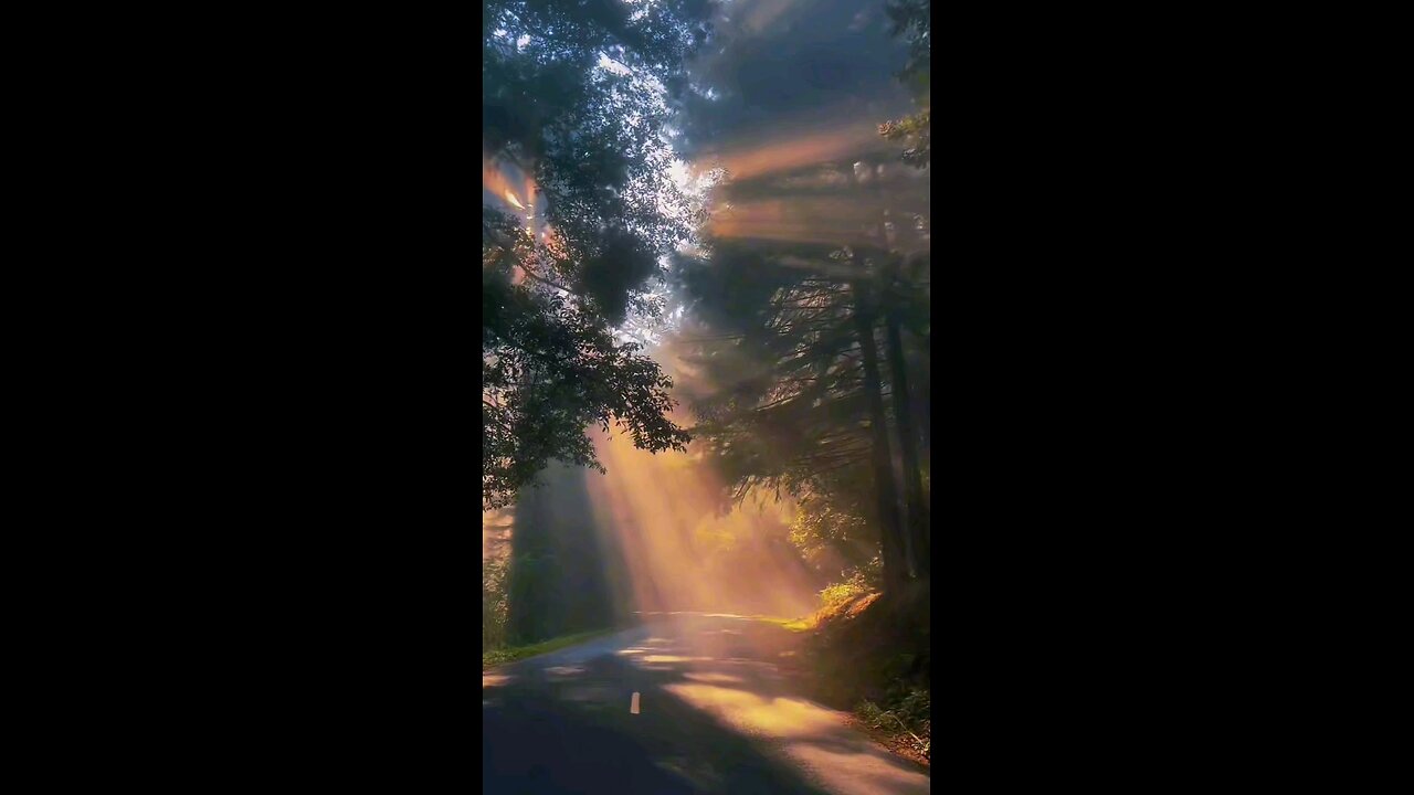 Evening Sunshine 🌞