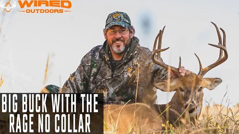 Big Buck With The Rage No Collar Broadhead - MASSIVE CUT!