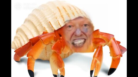 The Ultimate Donald Trump Hermit Krab Meme!