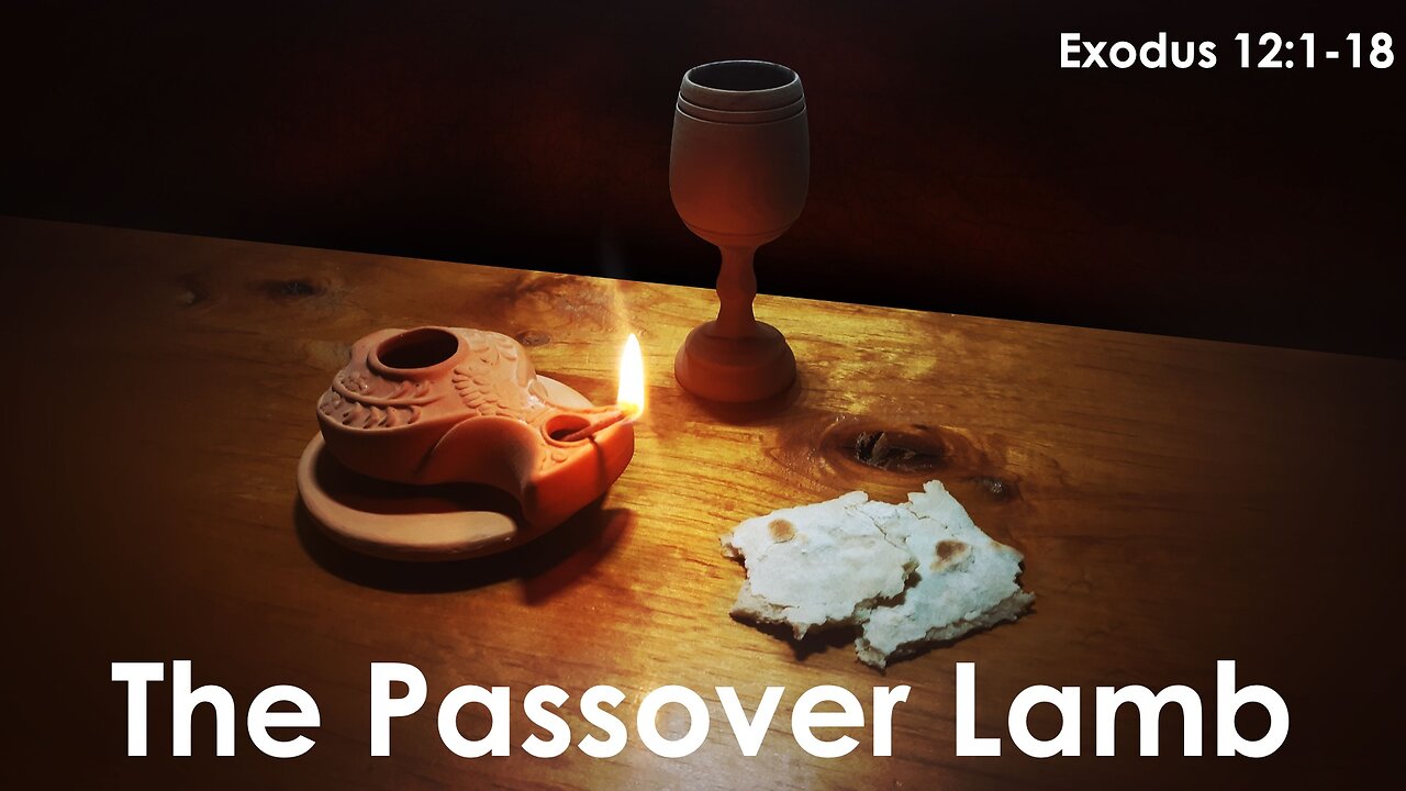 The Passover Lamb