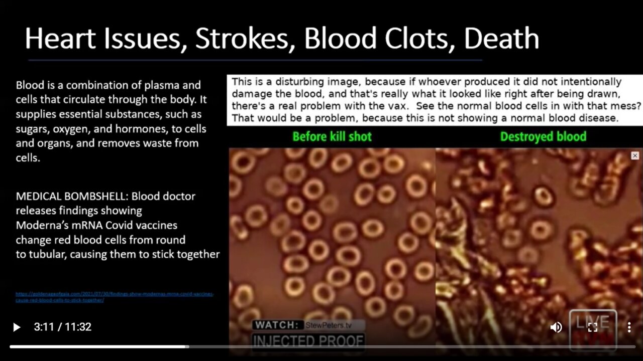WHY THE WAR ON THE BLOOD! FINAL DAYS REPORT