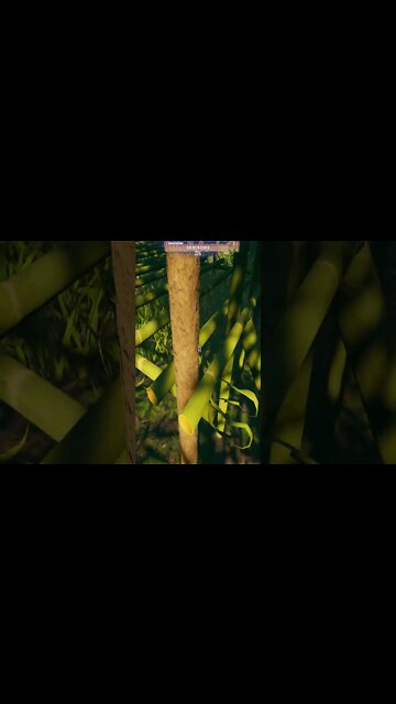 House Builder Glitches Are Getting Out Of Hand!