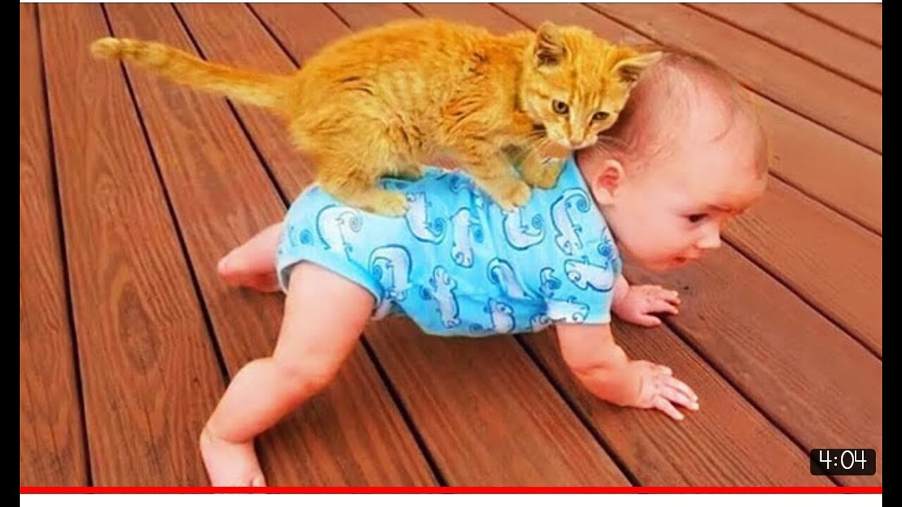 CAT FLOATING WITH BABY