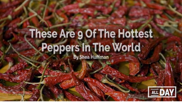 Top 9 Hottest Peppers In The World