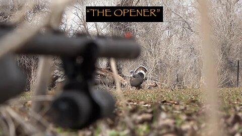 "THE OPENER" Youth opening day smack down on a good gobbler!