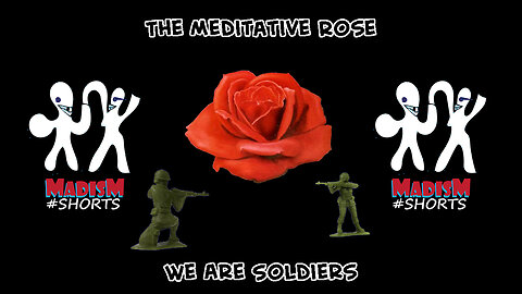 We Are Soldiers - The Meditative Rose