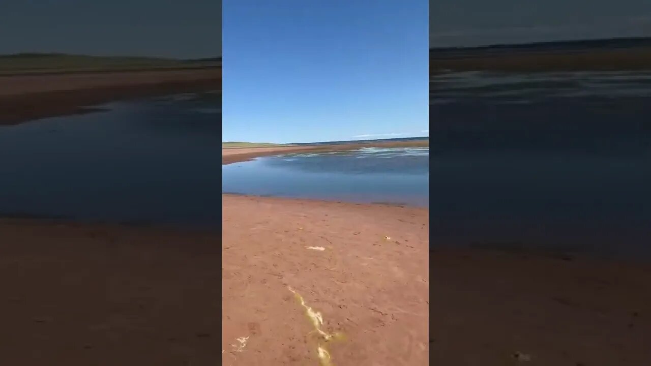 Low tide at Tracadie beach